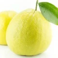 Calibrian Bergamot