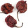 Carolina Reaper