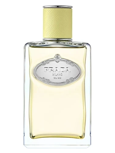 Parfum Infusion de Gingembre dari Prada untuk Unisex dengan aroma 