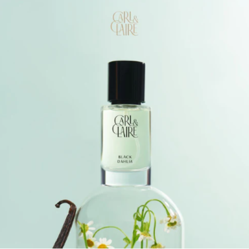 Parfum Black Dahlia dari Carl & Claire untuk Wanita dengan aroma 